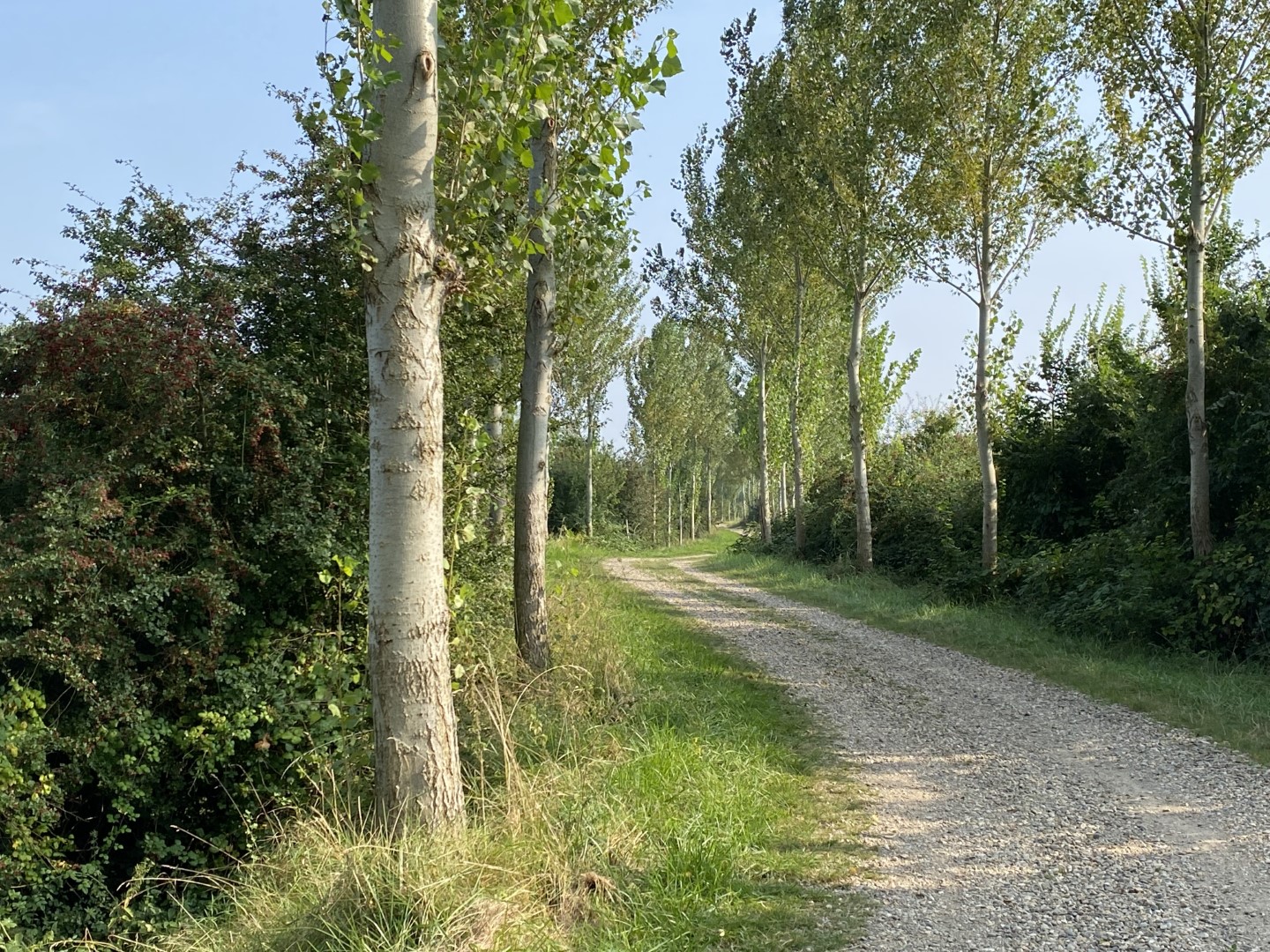 zeeuws-17