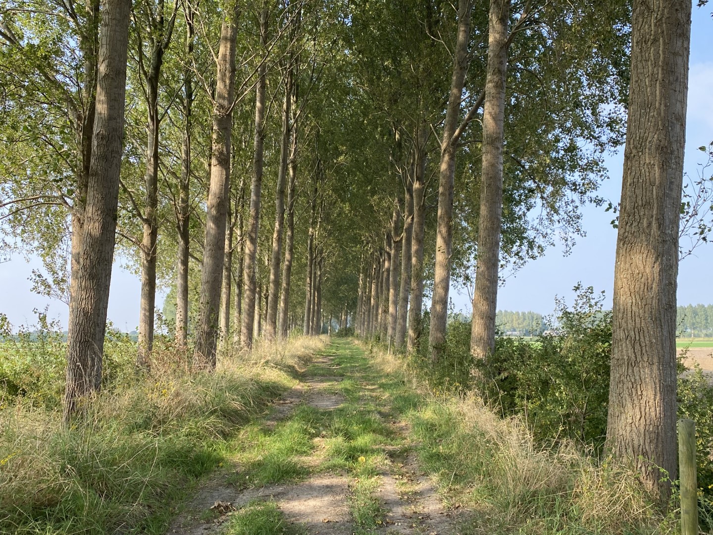 zeeuws-18